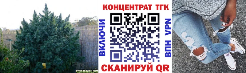ТГК вейп Дальнегорск